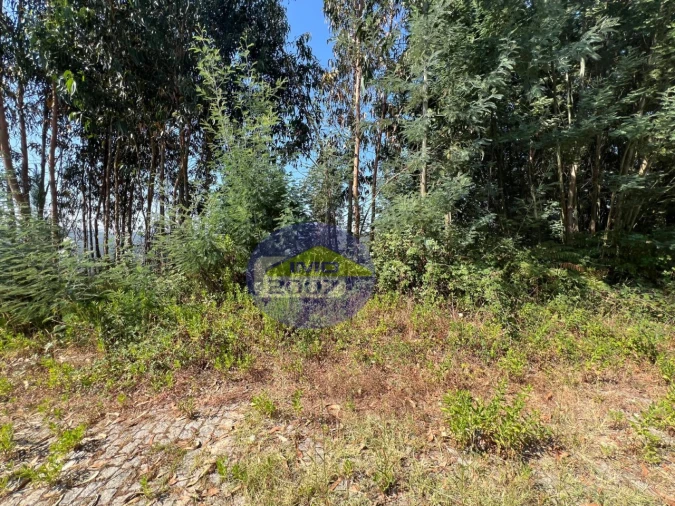 Terreno para Venda em Canedo, Vale e Vila Maior Foto 35