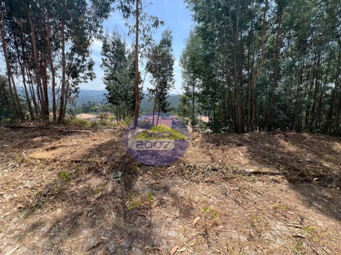 Terreno para Venda em Canedo, Vale e Vila Maior Foto 5