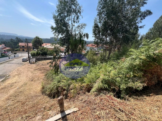 Terreno para Venda em Canedo, Vale e Vila Maior Foto 7