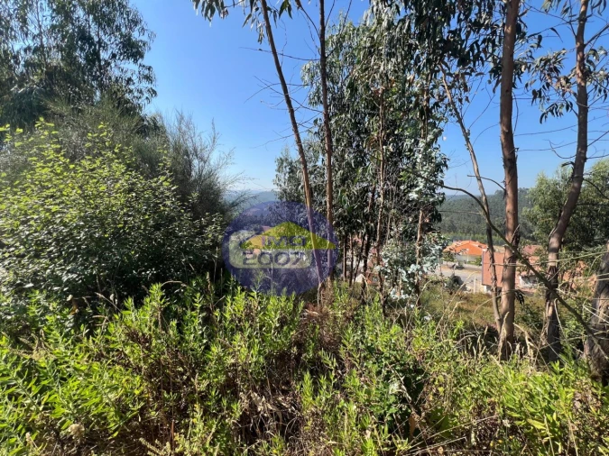 Terreno para Venda em Canedo, Vale e Vila Maior Foto 8