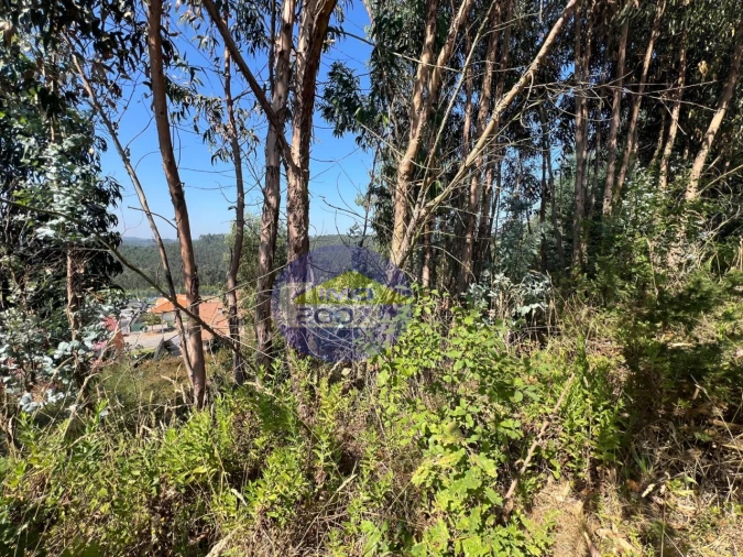 Terreno para Venda em Canedo, Vale e Vila Maior Foto 41