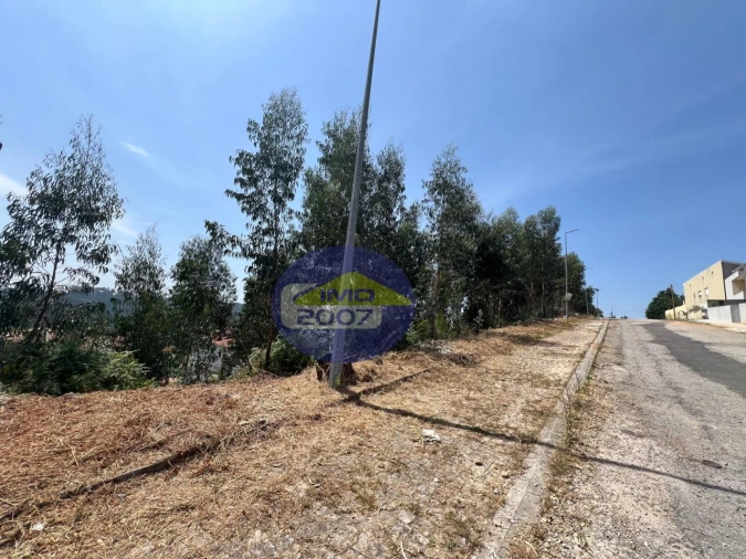 Terreno para Venda em Canedo, Vale e Vila Maior Foto 43