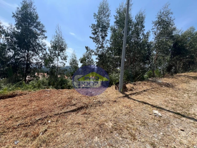 Terreno para Venda em Canedo, Vale e Vila Maior Foto 46