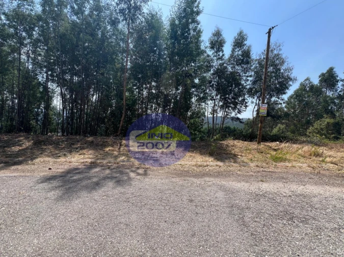 Terreno para Venda em Canedo, Vale e Vila Maior Foto 48