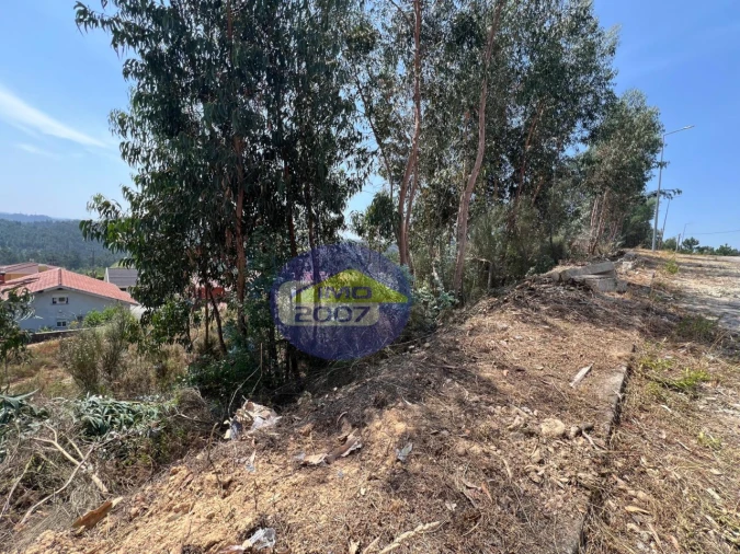 Terreno para Venda em Canedo, Vale e Vila Maior Foto 51