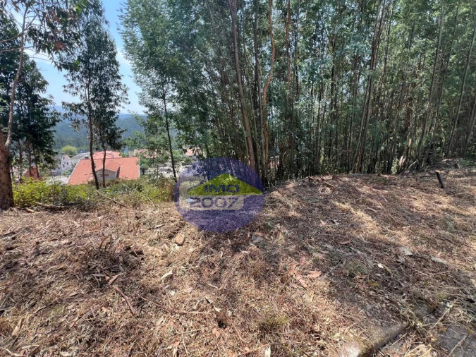 Terreno para Venda em Canedo, Vale e Vila Maior Foto 52