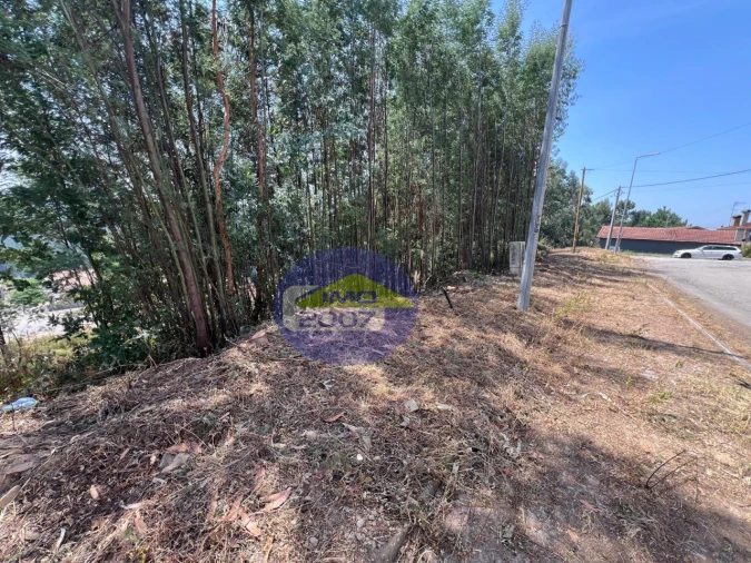 Terreno para Venda em Canedo, Vale e Vila Maior Foto 54