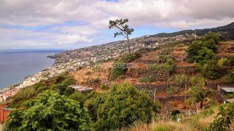 Terreno para Venda em Santa Cruz