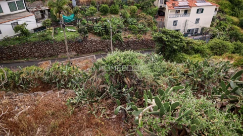 Terreno para Venda em Santa Cruz