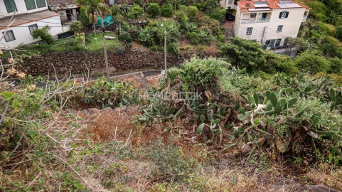 Terreno para Venda em Santa Cruz