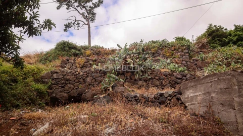 Terreno para Venda em Santa Cruz