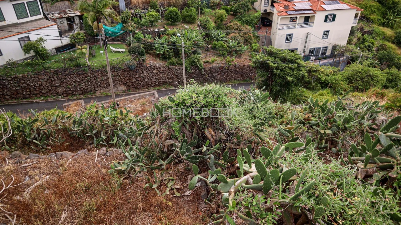 Terreno para Venda em Santa Cruz Foto 10