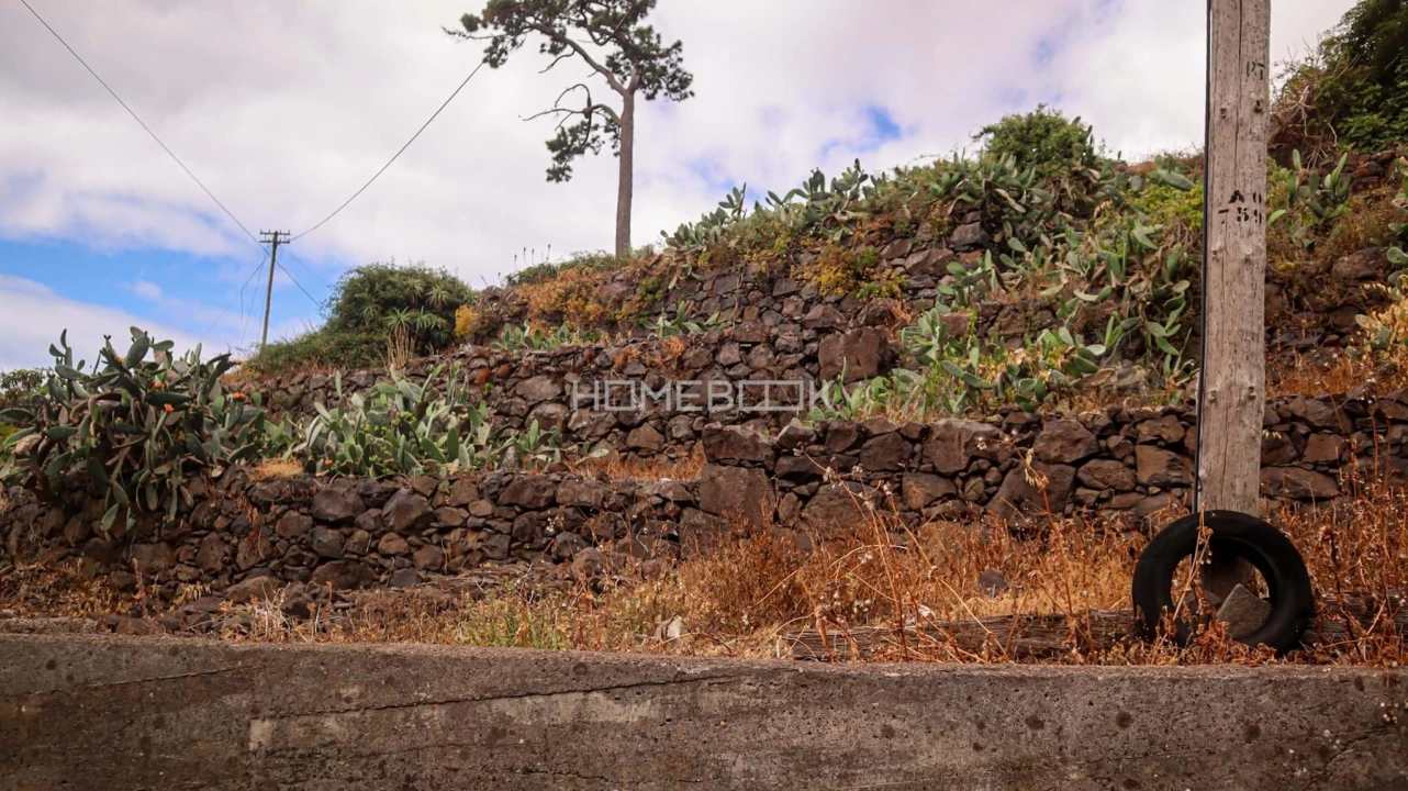 Terreno para Venda em Santa Cruz Foto 12