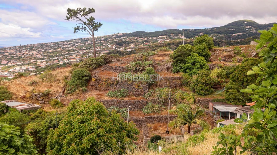 Terreno para Venda em Santa Cruz Foto 3