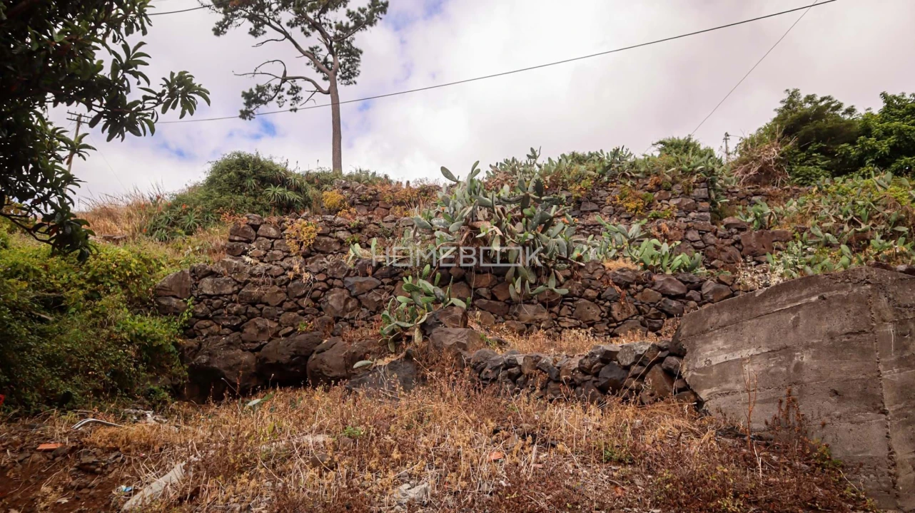 Terreno para Venda em Santa Cruz Foto 13