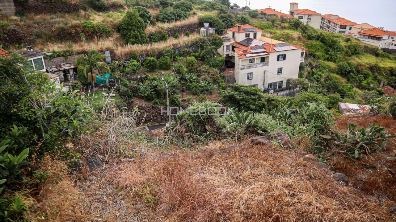 Terreno para Venda em Santa Cruz Foto 7