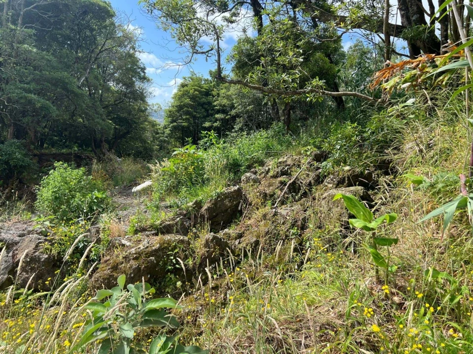 Terreno para Venda em Santo Antonio Foto 16
