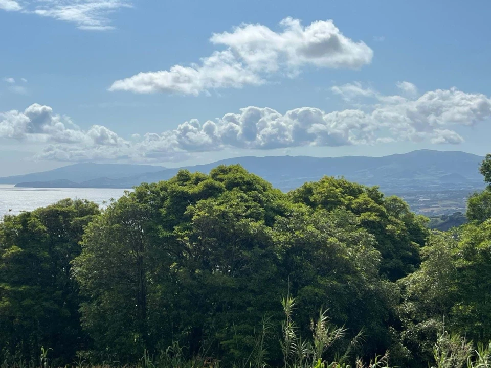 Terreno para Venda em Santo Antonio Foto 13