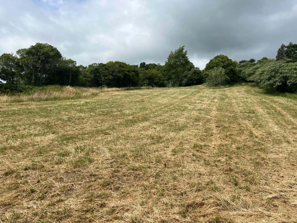 Terreno para Venda em Santo Antonio Foto 10