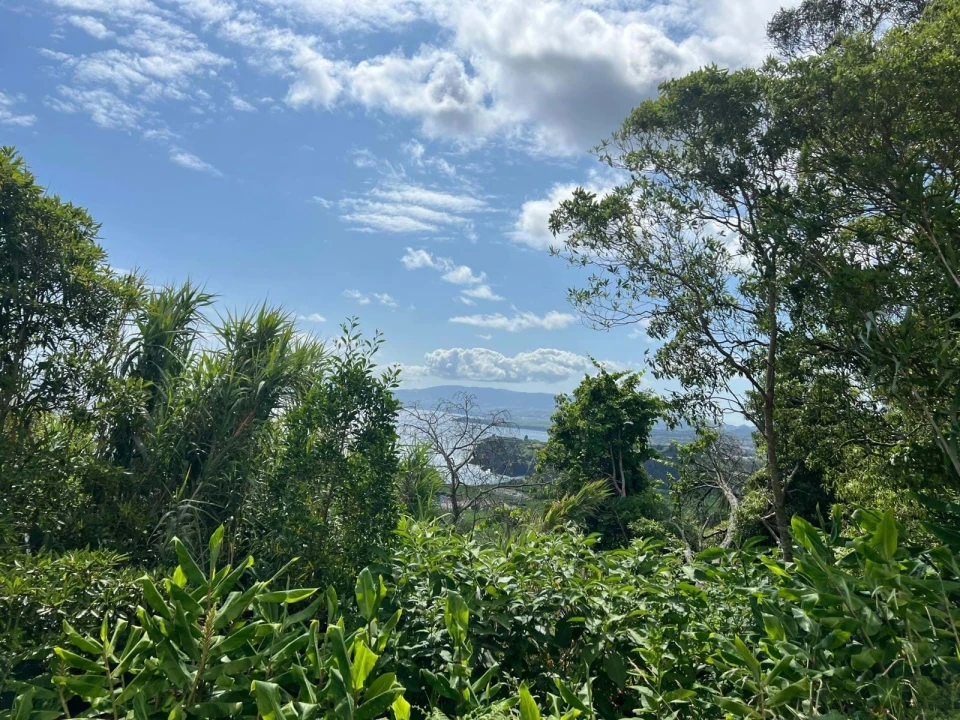 Terreno para Venda em Santo Antonio Foto 19