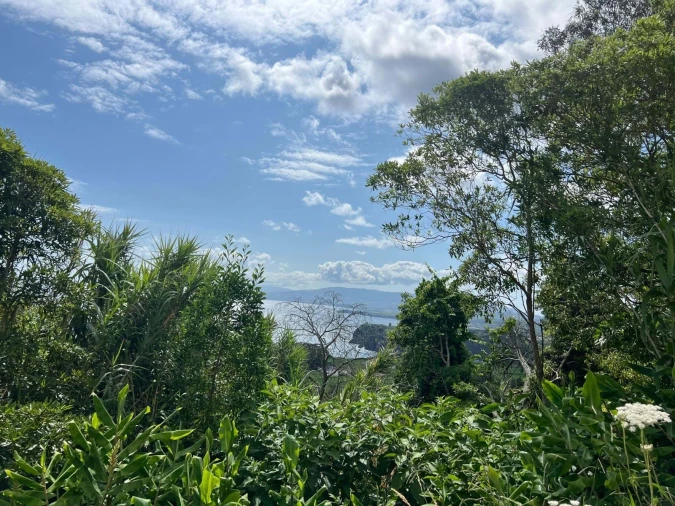 Terreno para Venda em Santo Antonio Foto 17