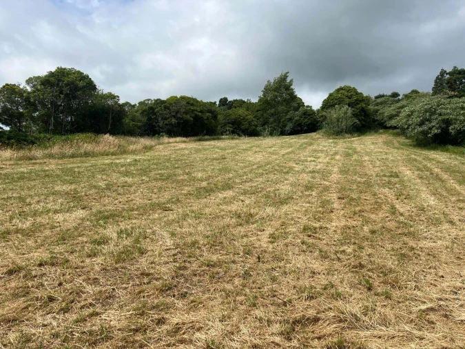 Terreno para Venda em Santo Antonio Foto 10