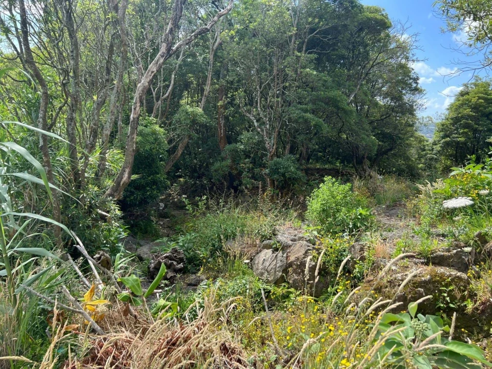Terreno para Venda em Santo Antonio Foto 15