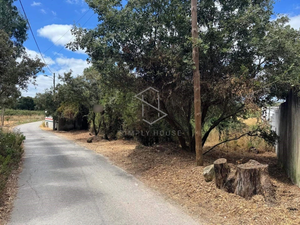 Terreno para Venda em Benedita Foto 2