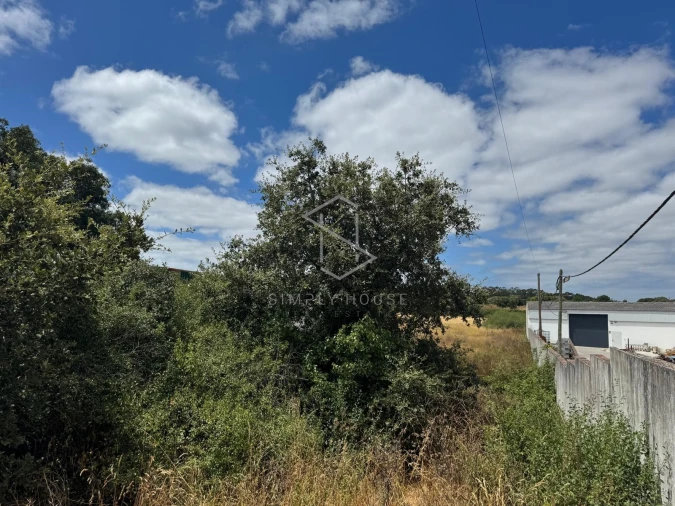 Terreno para Venda em Benedita Foto 8