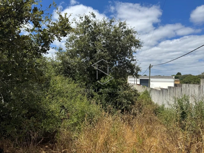 Terreno para Venda em Benedita Foto 7