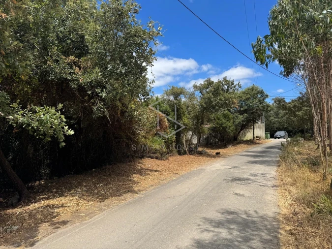 Terreno para Venda em Benedita Foto 3