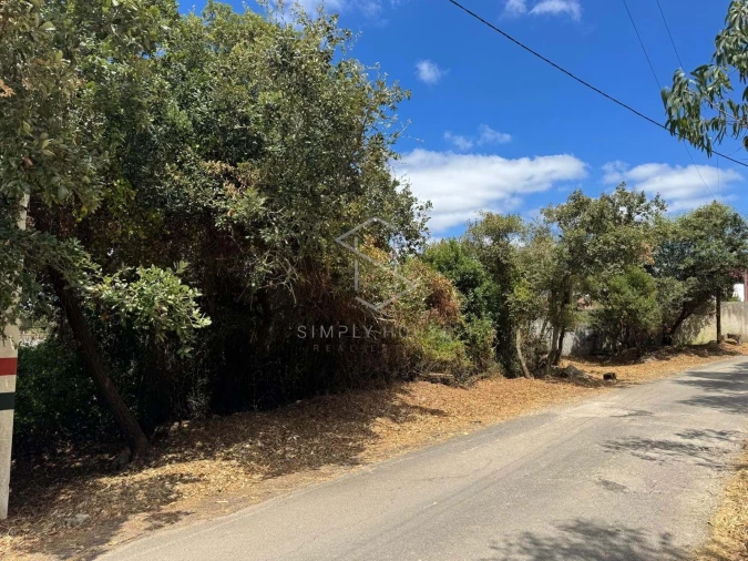 Terreno para Venda em Benedita Foto 5