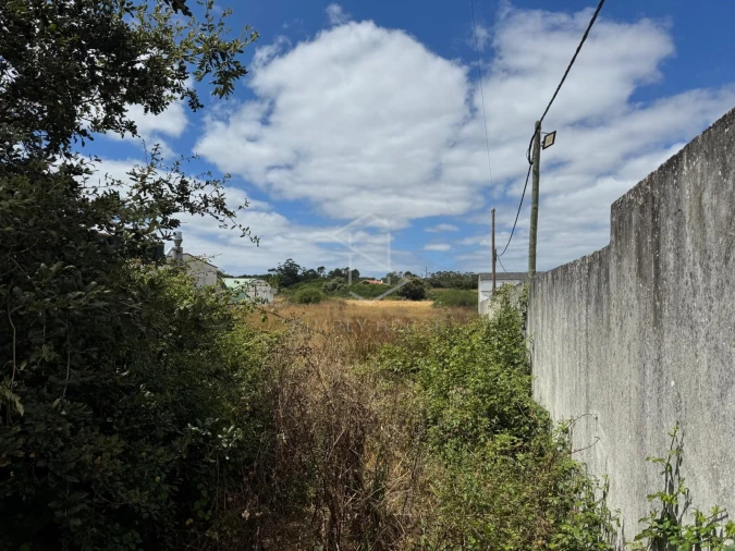 Terreno para Venda em Benedita Foto 9