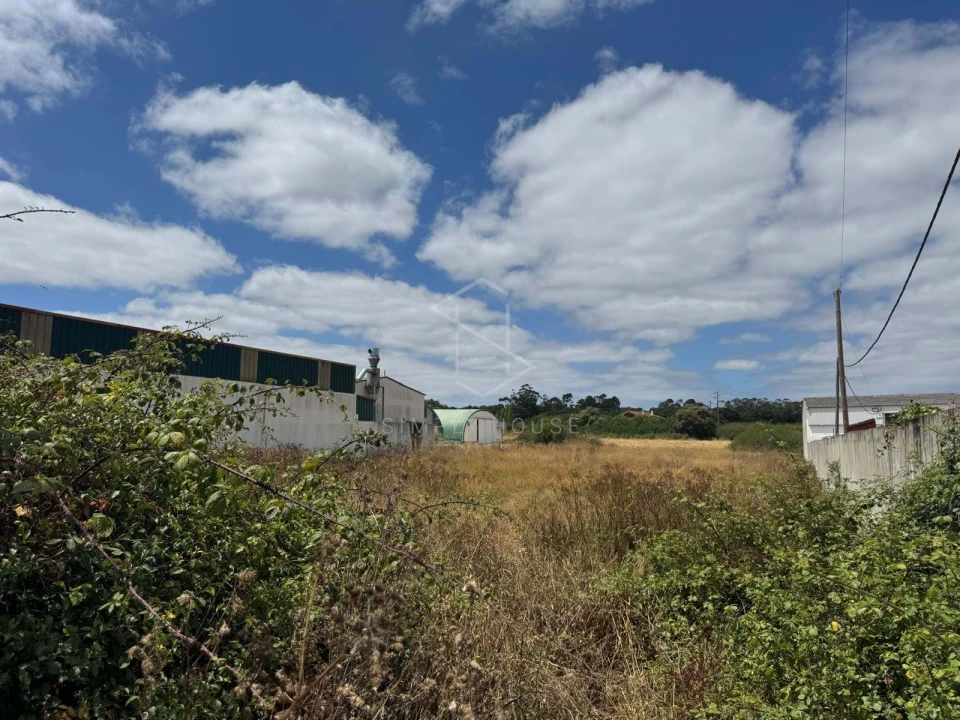 Terreno para Venda em Benedita Foto 11