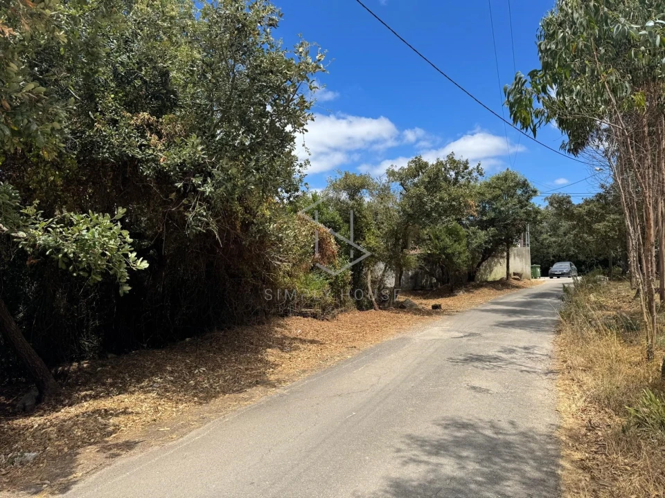 Terreno para Venda em Benedita Foto 3