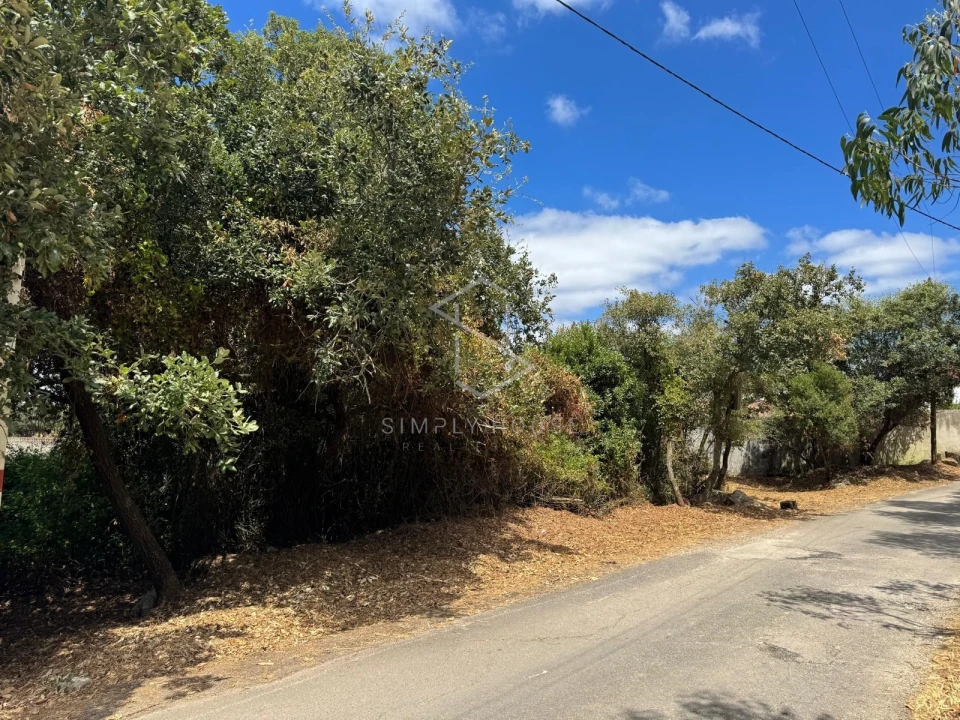 Terreno para Venda em Benedita Foto 6