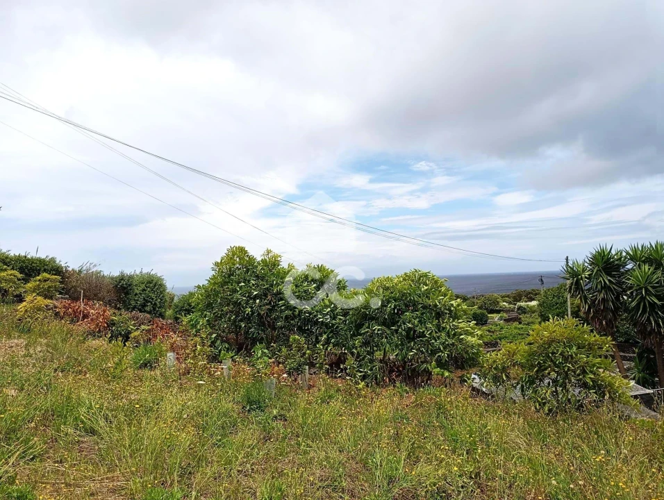 Terreno para Venda em Biscoitos Foto 7