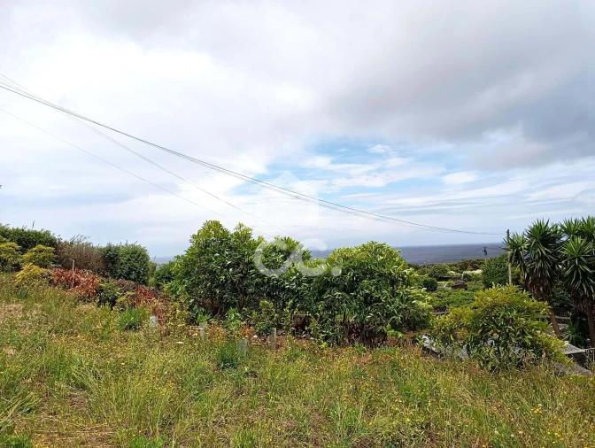 Terreno para Venda em Biscoitos Foto 7