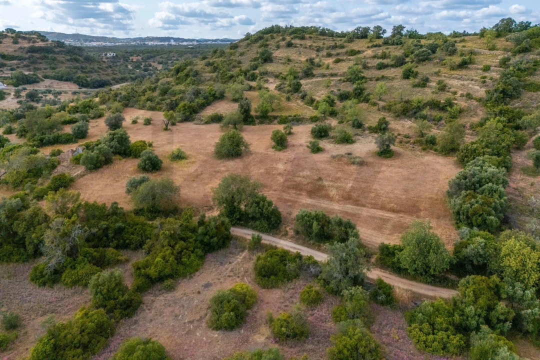Terreno para Venda em Faro (Sé e São Pedro) Foto 11