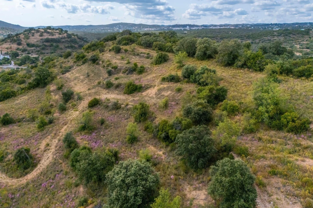 Terreno para Venda em Faro (Sé e São Pedro) Foto 19
