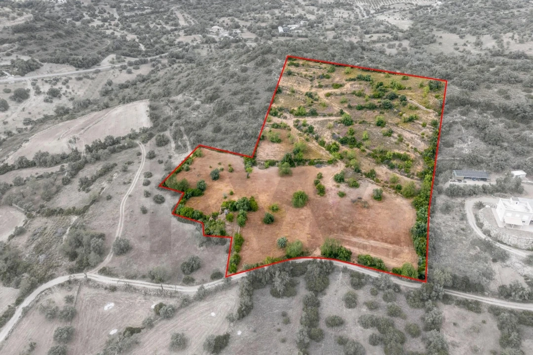 Terreno para Venda em Faro (Sé e São Pedro) Foto 3