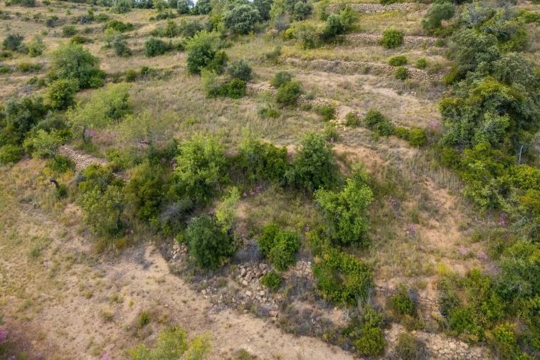 Terreno para Venda em Faro (Sé e São Pedro) Foto 14