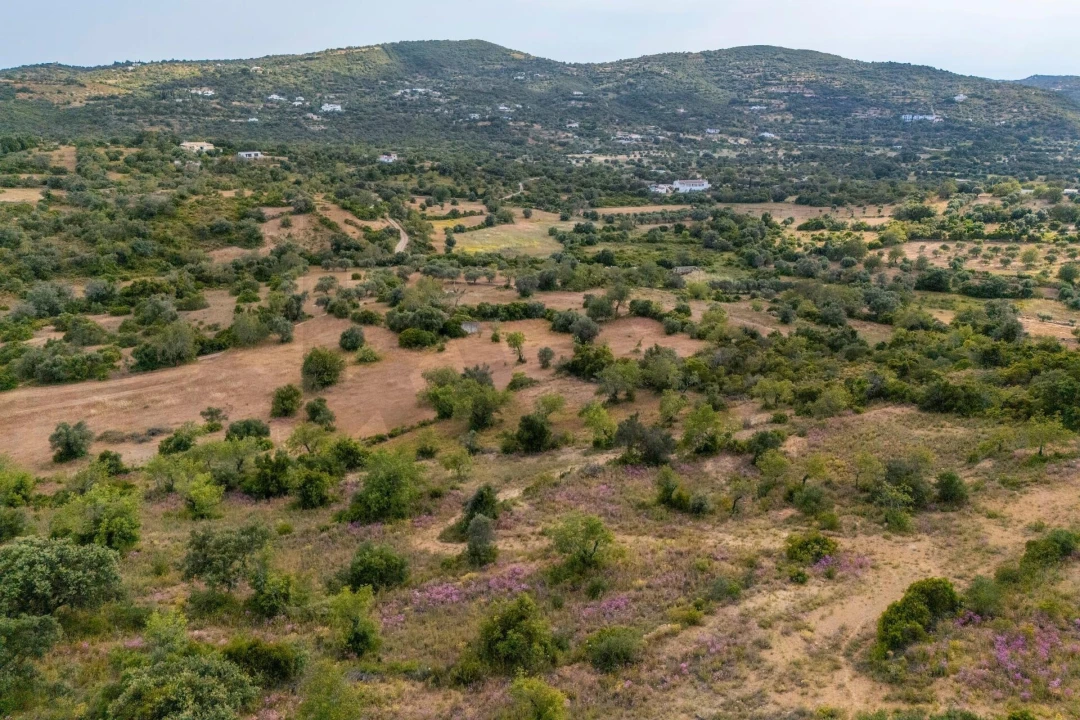 Terreno para Venda em Faro (Sé e São Pedro) Foto 21