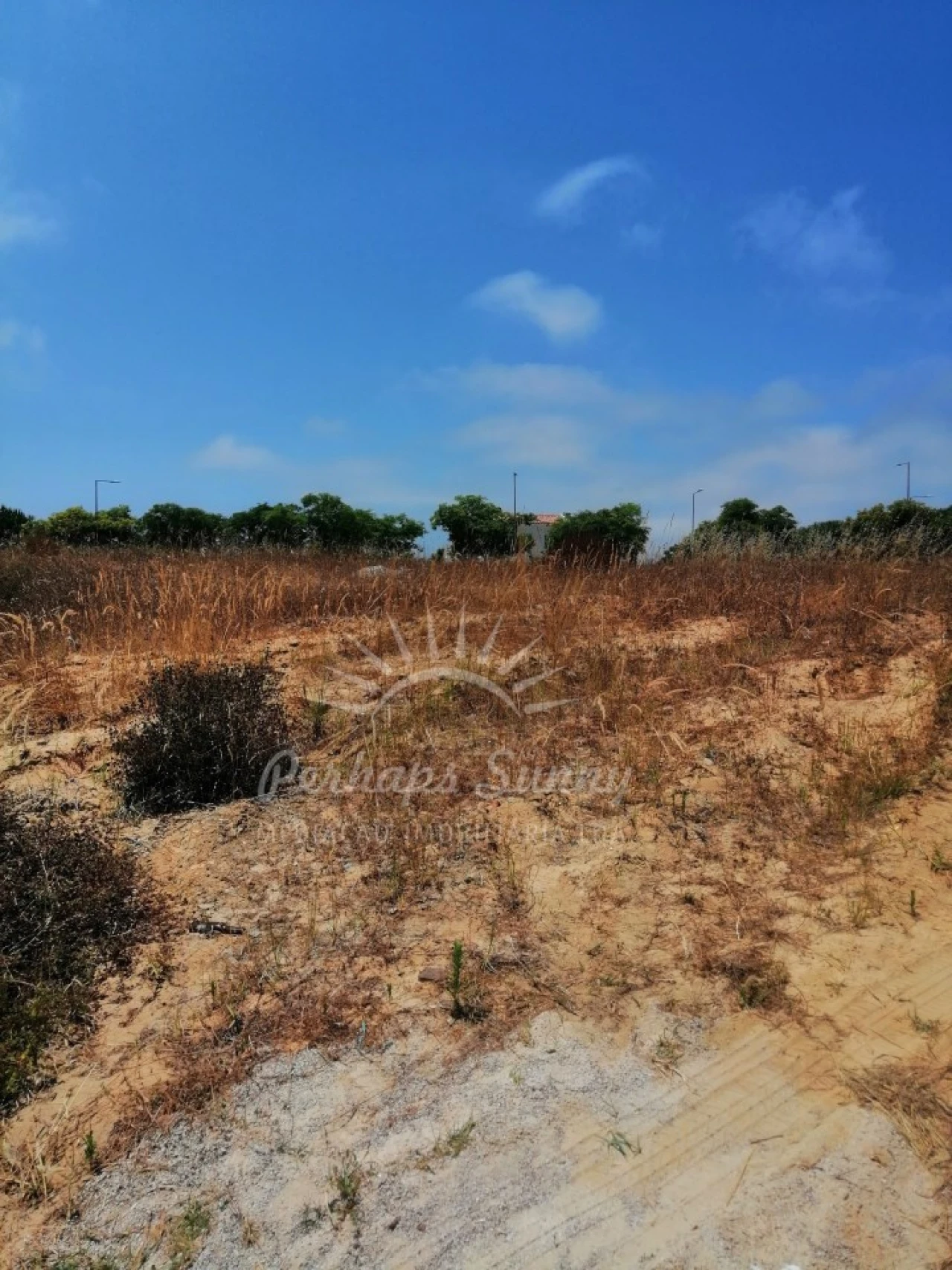 Terreno para Venda em Melides Foto 2