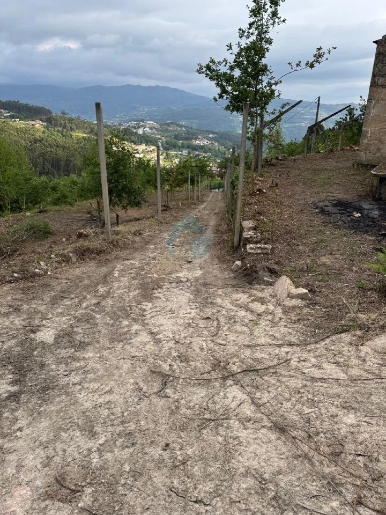 Terreno para Venda em Sande e São Lourenço Foto 25