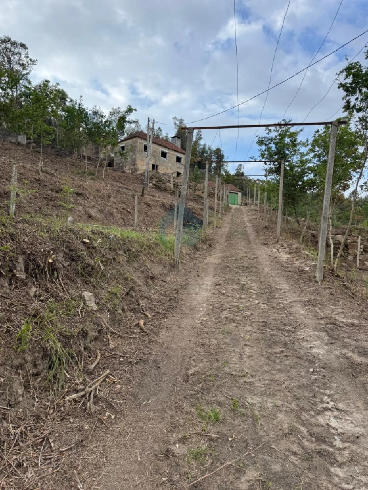 Terreno para Venda em Sande e São Lourenço Foto 29