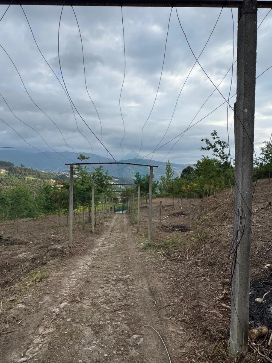 Terreno para Venda em Sande e São Lourenço Foto 30