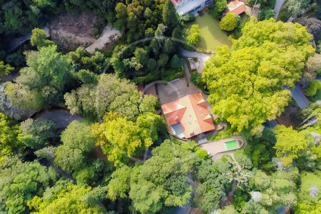 Moradia T7 para Venda em Santa Maria e São Miguel, São Martinho, São Pedro Penaferrim Foto 3