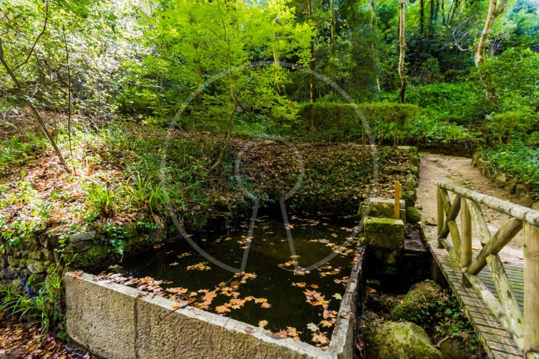 Moradia T7 para Venda em Santa Maria e São Miguel, São Martinho, São Pedro Penaferrim Foto 42