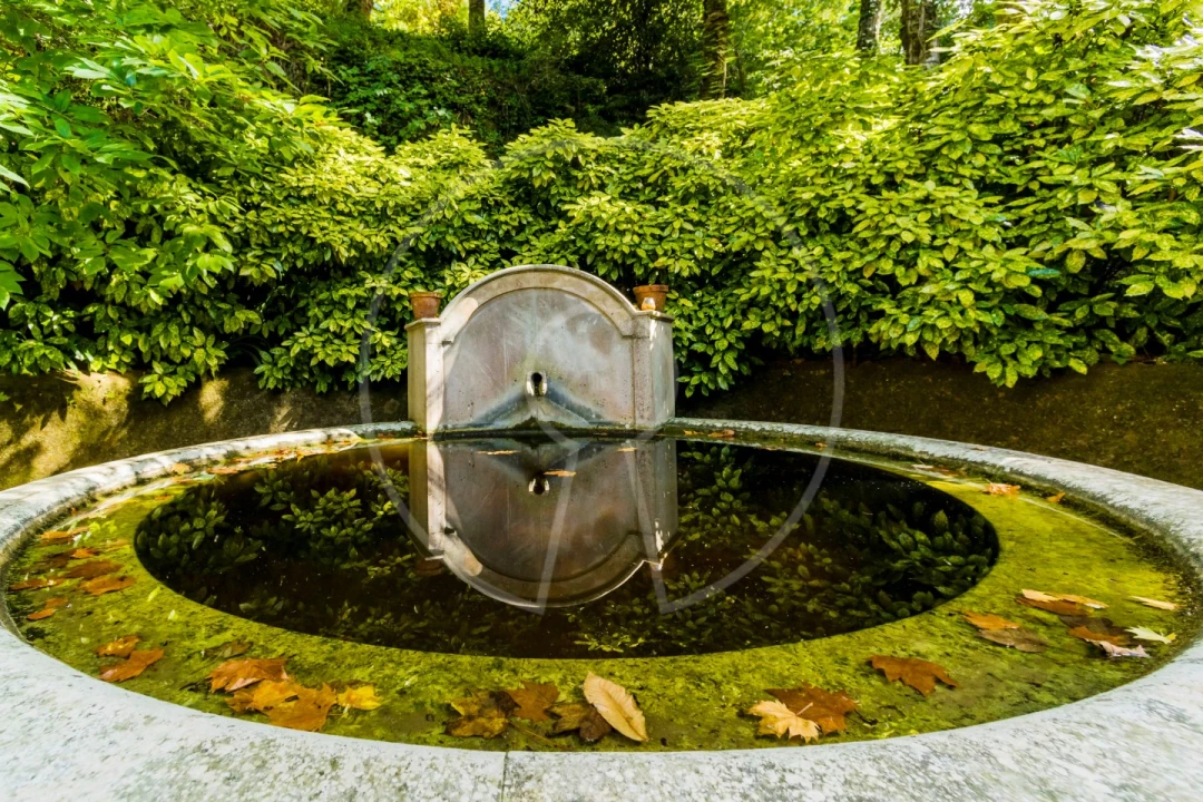 Moradia T7 para Venda em Santa Maria e São Miguel, São Martinho, São Pedro Penaferrim Foto 44